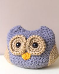 Dusk the Baby Owl Dusk the Baby Owl