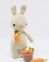 Little Bunny with Carrots Little Bunny with Carrots